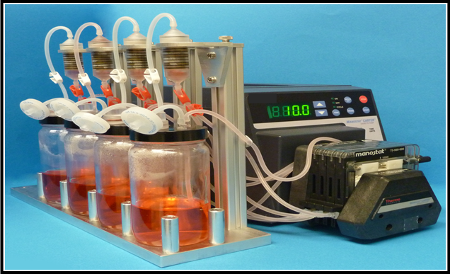 Perfusion Bioreactor